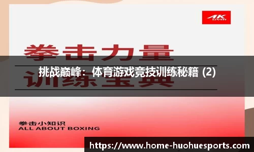 挑战巅峰：体育游戏竞技训练秘籍 (2)